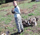 xevbellringer69 - OF dump HQ