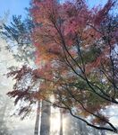 xevbellringer69 - OF dump HQ