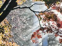 xevbellringer69 - OF dump HQ