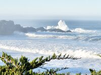 xevbellringer69 - OF dump HQ