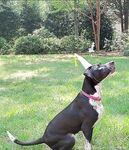 macymeadows - OF dump HQ pics