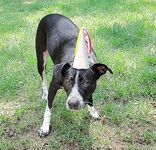 macymeadows - OF dump HQ pics