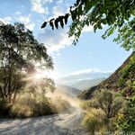 macymeadows - OF dump HQ pics