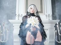 Vinnegal - 2B Black Bride II Set