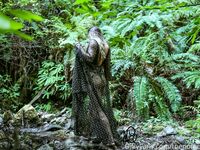 thenofacegirl - OF dump