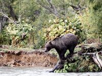 katyaclover - Part #1 - OF dump