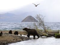 katyaclover - Part #1 - OF dump