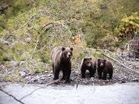 katyaclover - Part #1 - OF dump