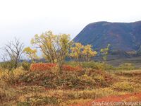 katyaclover - Part #1 - OF dump