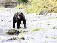 katyaclover - Part #1 - OF dump