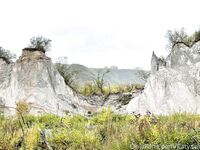 katyaclover - Part #1 - OF dump