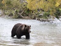 katyaclover - Part #1 - OF dump