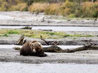 katyaclover - Part #1 - OF dump