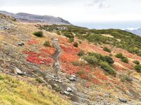 katyaclover - Part #1 - OF dump