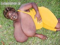 Massive Boobs Collection