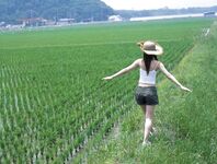 [GRAVURE] Morning Musume - Ai Takahashi 高桥爱