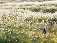 [GRAVURE] Morning Musume - Fukumura Mizuki 譜久村聖