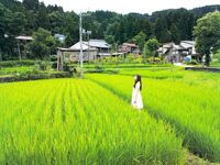 [GRAVURE] Morning Musume - Fukumura Mizuki 譜久村聖