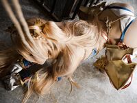 minaduki_miri  bradamante