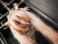 minaduki_miri  bradamante