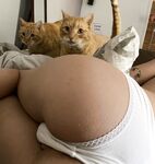 GABBIE CARTER ૮ ◞ ﻌ ◟ აᶻ ???? ????