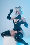 Lady Melamori - 2B Kitty