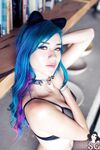 Fay suicide