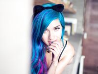 Fay suicide