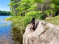 SexMeat Ebony Goddess