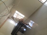 Emma Hernan & friends