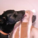 Haruhican / u81439872