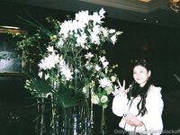 Onlyfans RaelilblackOfficial - Photoalbum 1