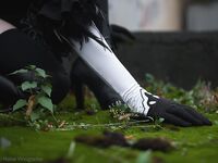 Disharmonica - YoRHa No.2 Type B (NieR Automata)