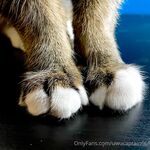 onlyfans - uwucaptain666