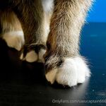 onlyfans - uwucaptain666