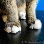 onlyfans - uwucaptain666