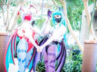 Darkstalkers Collab set