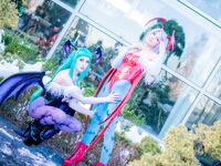 Darkstalkers Collab set