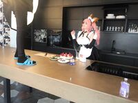Shadory Tamamo backstages