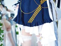 Hidori Rose cheshire from azure lane