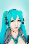 Hidori Rose Hatsune Miku