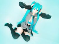 Hidori Rose Hatsune Miku