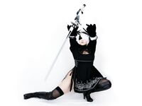 Hidori Rose 2B