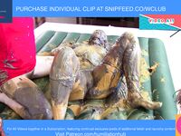 Maid Gets ENF Revenge on Rich Girl