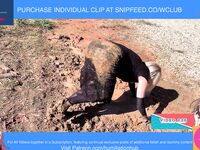 ENF VIDEO WEDDING GUEST STRANDED STUCK IN MUD NUDE