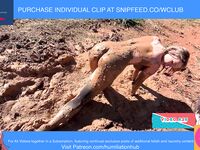 ENF VIDEO WEDDING GUEST STRANDED STUCK IN MUD NUDE