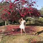 Jhulia Pimentel Brasilia Brazil instagram tiktok