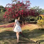 Jhulia Pimentel Brasilia Brazil instagram tiktok