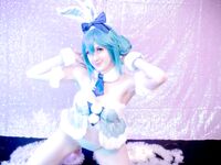 Snow Bunny Miku