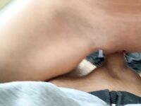 Jasmin van der Steen